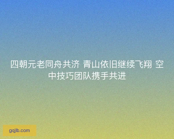 四朝元老同舟共济 青山依旧继续飞翔 空中技巧团队携手共进